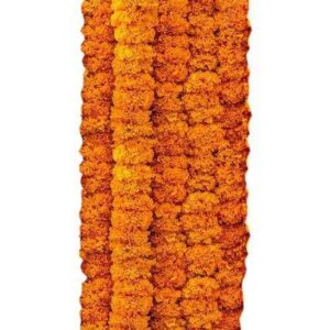 Marigold Orange Flower String