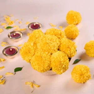 Marigold (Genda Phool)