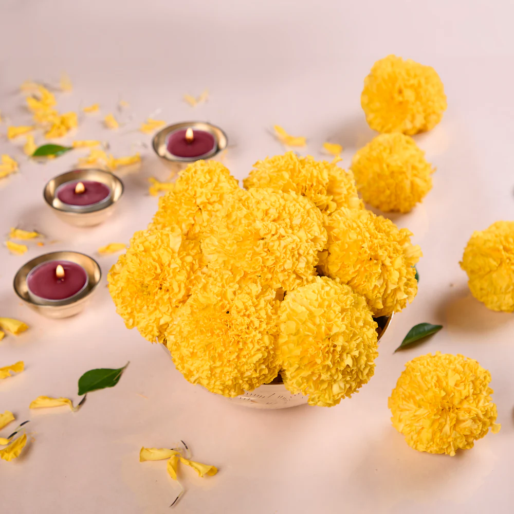 Marigold (Genda Phool)